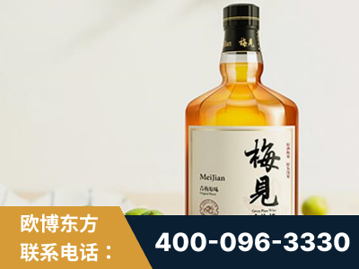 泰州-梅见青梅酒
