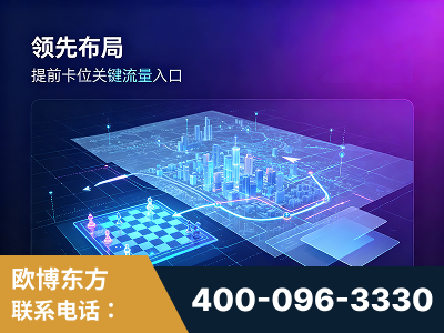 泰州-领先布局：于2024年初开启GEO业务的公司